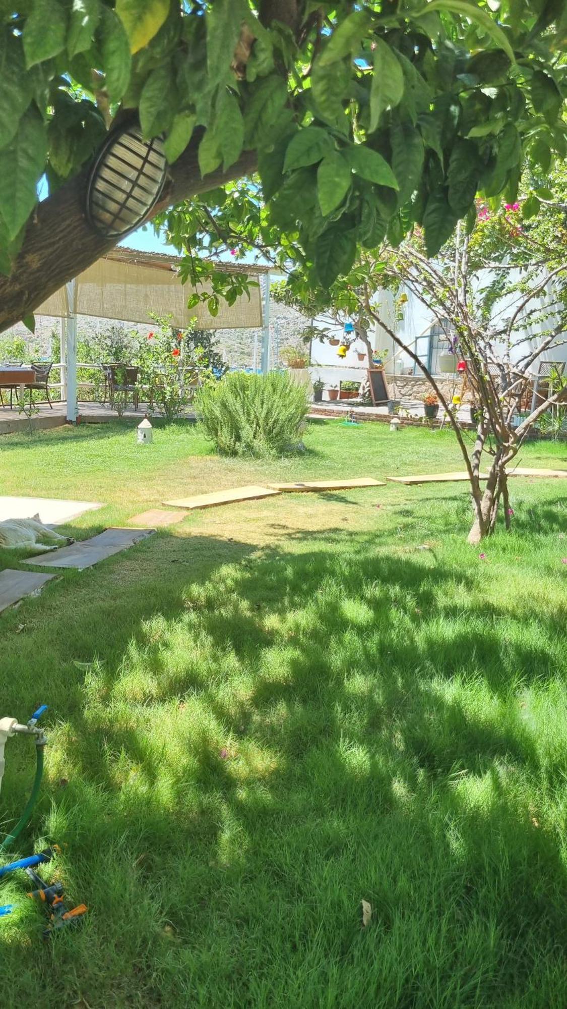 Lemon Garden Boutique Hotel Bozburun Exterior photo